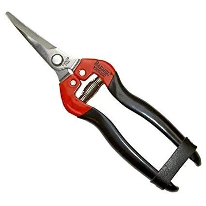 chainsawlawnmower202607031558301536014
